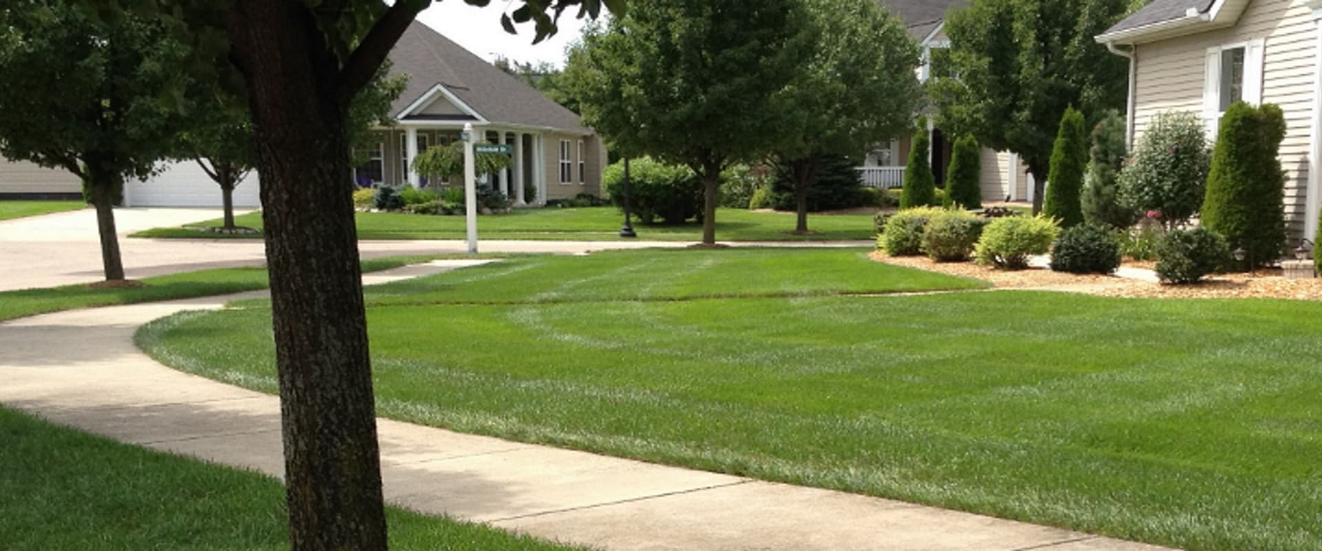 Fresh Mowed Grass